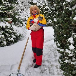 ���������, �����������