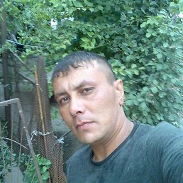 ��������, �������, 44 ����