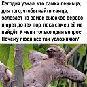 ���� ������, ������� - ��������� 4 ���� 2024 � ������ �������