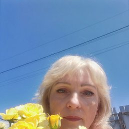 ���������, �����������, 62 ����