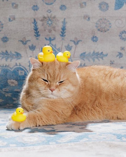 ����� � ��� ����� ������ - 2