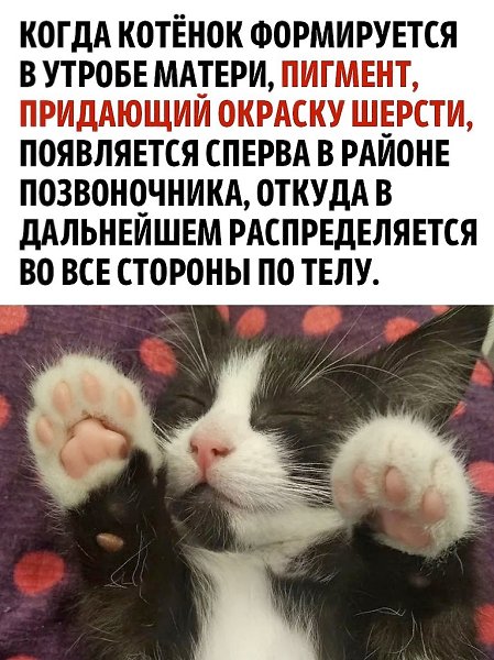 ��� ������ ��� ����� ����� ������? - 2