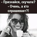 ���� Edelweis Beker, ���� - ��������� 2 ������� 2026 � ������ �1�