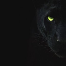 ���� ��������, ������, 49 ��� - ��������� 11 ������� 2023