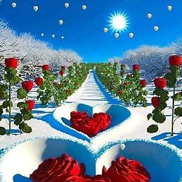 �����, �������, 37 ���