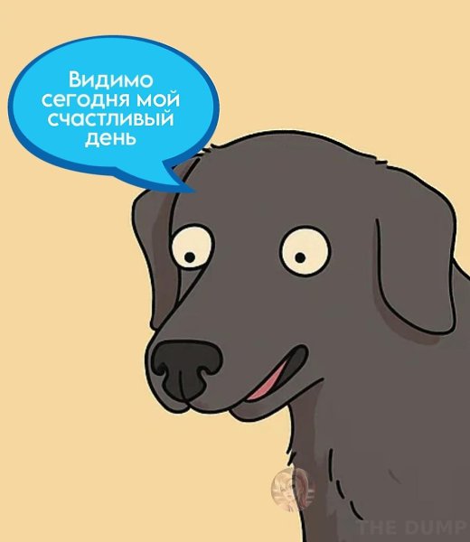 so`quiet - 2