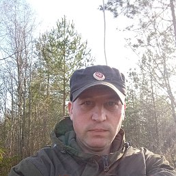 , 41,  