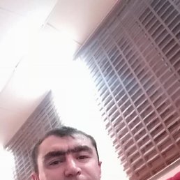  , 41, 