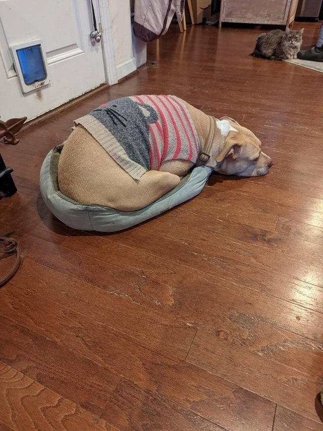     - 
