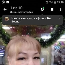 ���� ����, ������������, 52 ���� - ��������� 31 ������� 2023