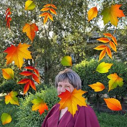 �������, ����, 45 ���