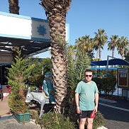 �����, 31 ���, ������