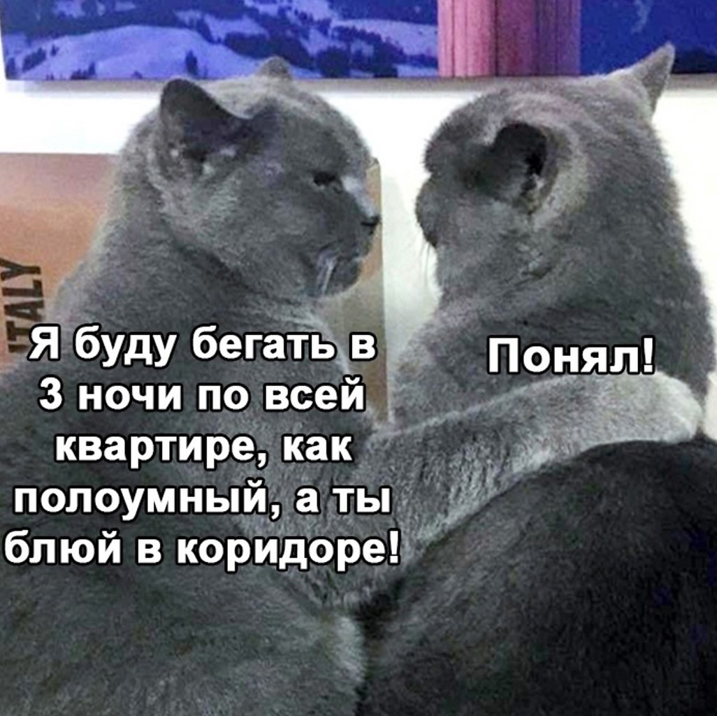    - - 3