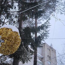 ���� ����, ����������� - ��������� 27 ������� 2024