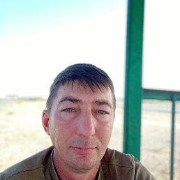 ���������, ���������, 46 ���