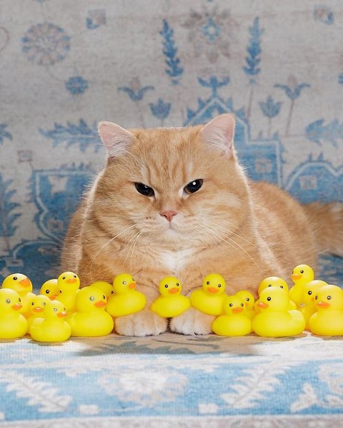 ����� � ��� ����� ������ - 5