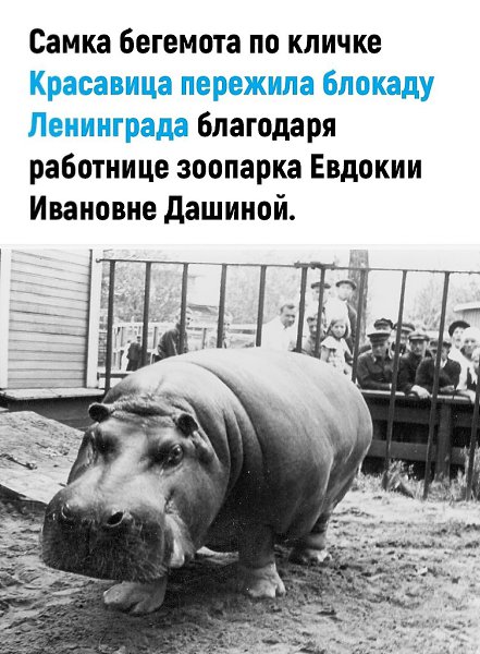 Сейчас почти все сытые сидят и думают: