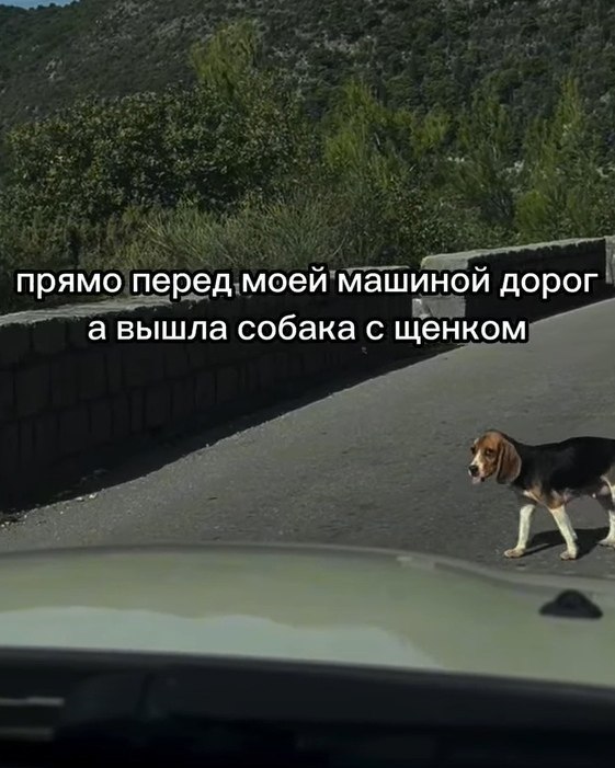    ,     !