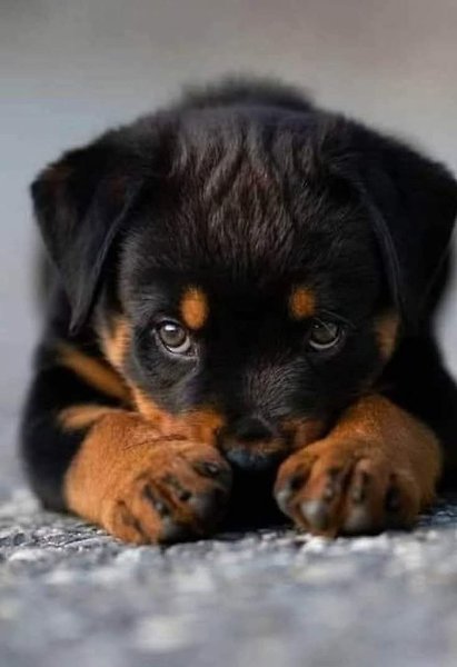 :) ����� �� ���� �� ������...