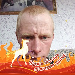 ������, 37 ���, �������