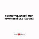 ���� ����, �����, 44 ���� - ��������� 19 ���� 2026 � ������ ������ ��������