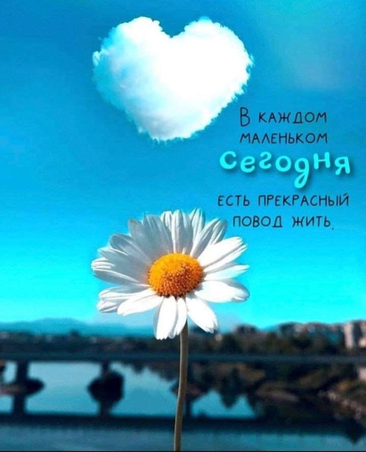  - 20  2025  11:58