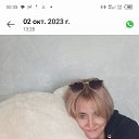 ���� �������, ���������, 51 ��� - ��������� 8 ������ 2024 � ������ ���� ����������