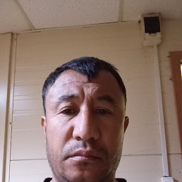 ����, 41 ���, ������