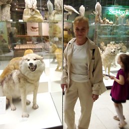 �����, ������, 49 ���