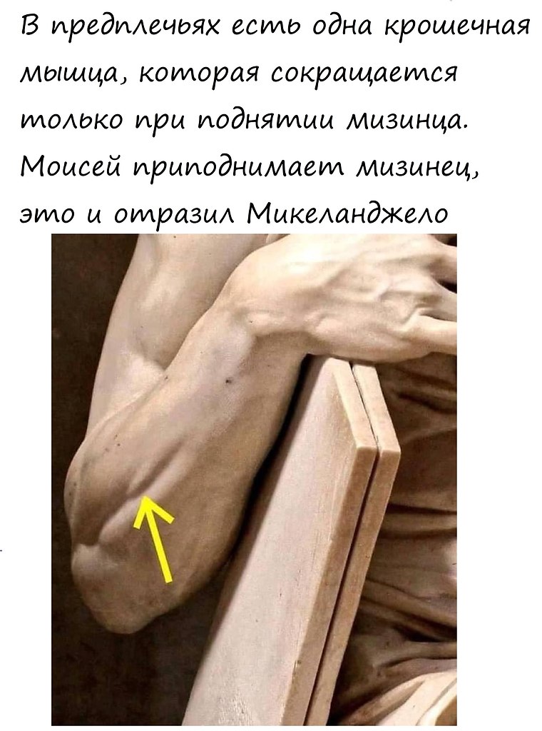       ,  .    - 9