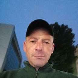 , 44, 