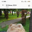  Nika, , 53  -  10  2025    