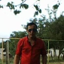 Ika, �������, 48 ���