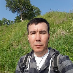 , 37, 