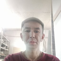 , 44 , 