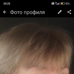, 64, 