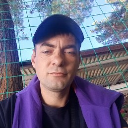 , 35, 