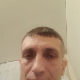 , 44,  