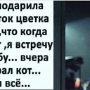 ���� �����, ������-��-���� - ��������� 31 ��� 2026 � ������ ������ ��������