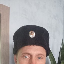 , 37 , 