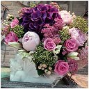 ���� ����, ������ - ��������� 17 ������� 2025 � ������ ���� ����������