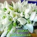 ���� ���������, ������, 33 ���� - ��������� 6 ������� 2024 � ������ ���� ����������