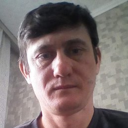 �����, 43 ����, ����