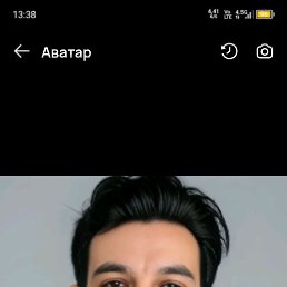 , 33, 
