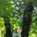 ���� ��������, ������, 56 ��� - ��������� 10 ���� 2024 � ������ ���� ����������