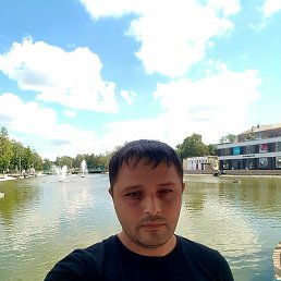 , 33 , 
