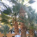 ���� �����, ���������, 61 ��� - ��������� 21 ������� 2026