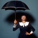 ���� �����, �������� - ��������� 8 ������� 2023 � ������ ������