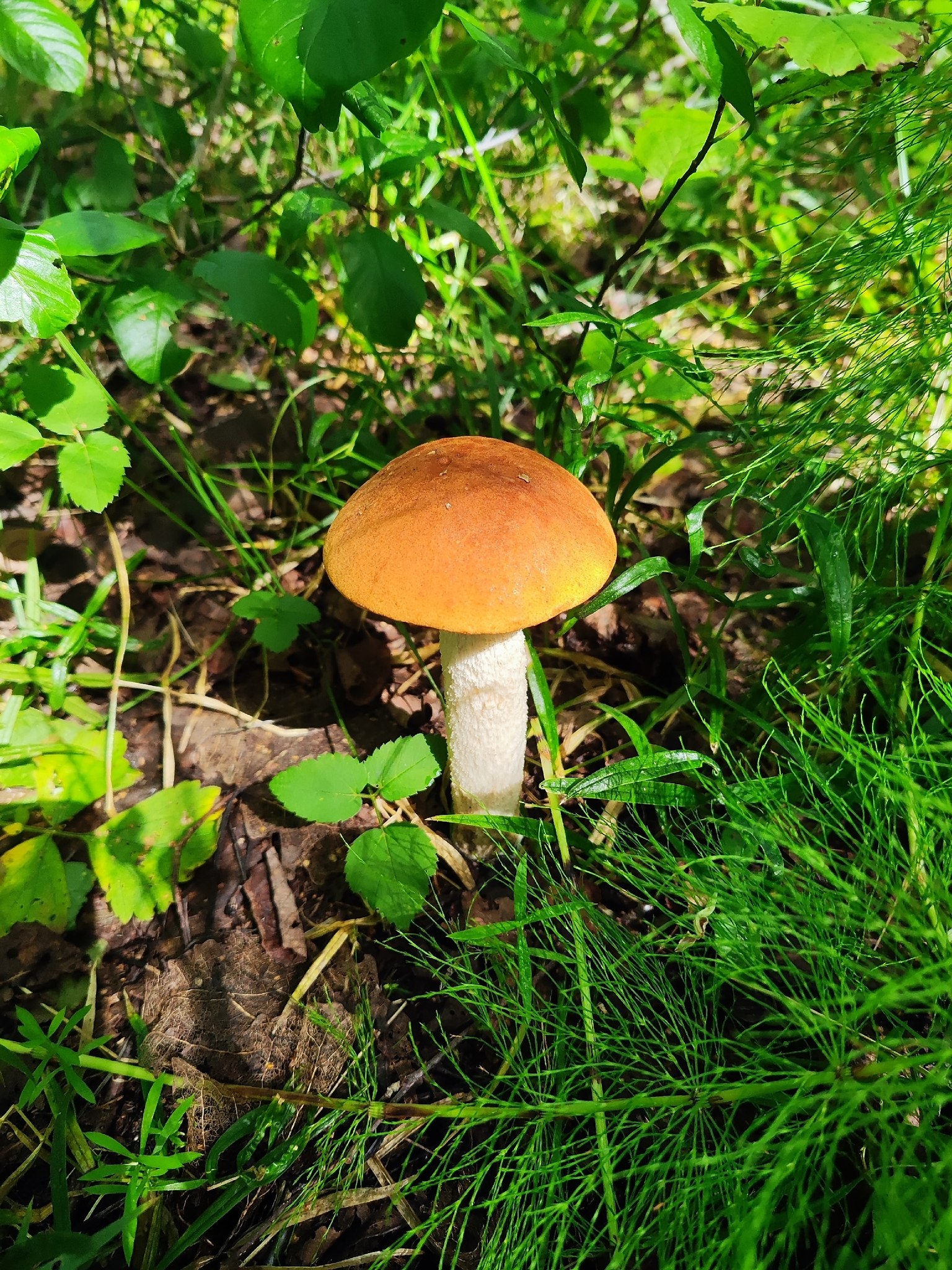   - 3  2025  14:49 - 7