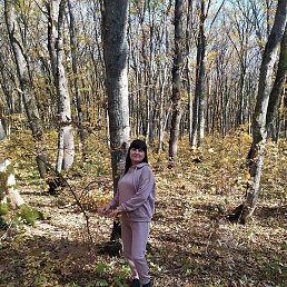 ����, ����������